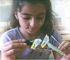 (בספר 5 תמונות, היעזר במנחה)